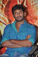 Vishal Gallery
